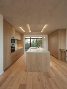Suburban open-plan kitchen