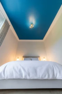 midnight blue painted ceiling above crisp white walls and white trim
