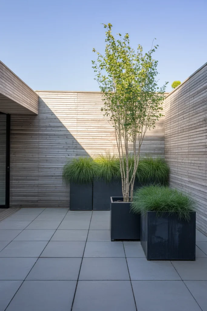Hardscape-Heavy Patio Garden That Needs No Planting Upkeep