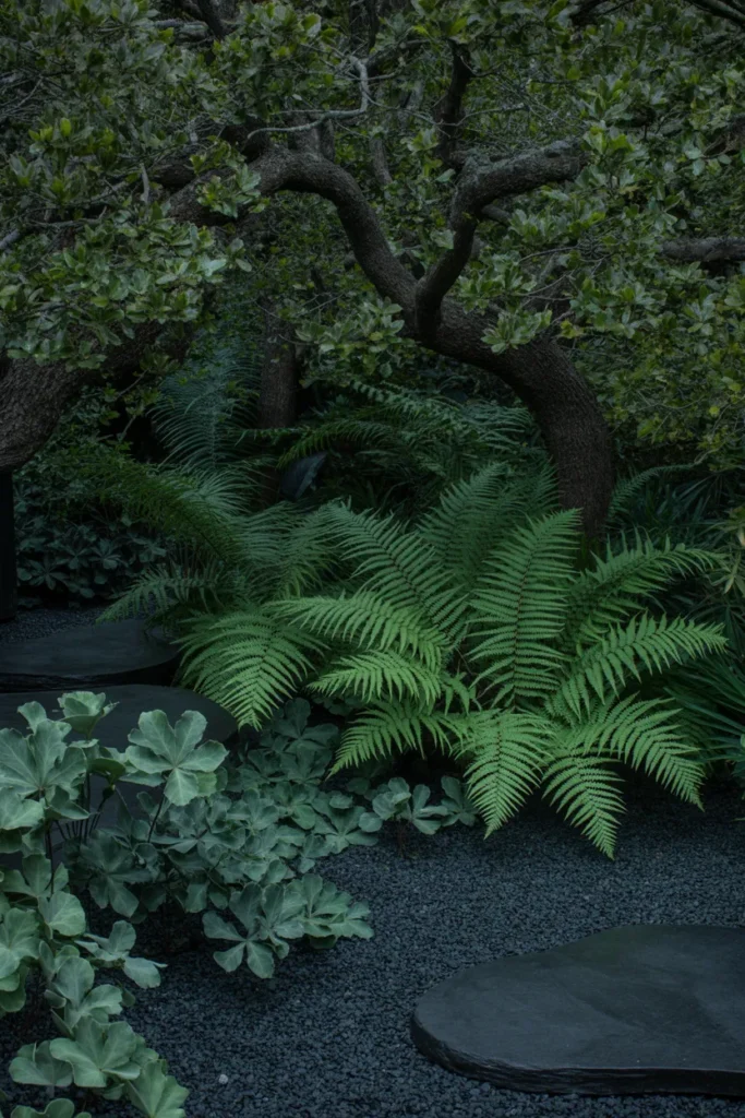 Shaded Woodland Zen Garden With Ferns and Dark Gravel