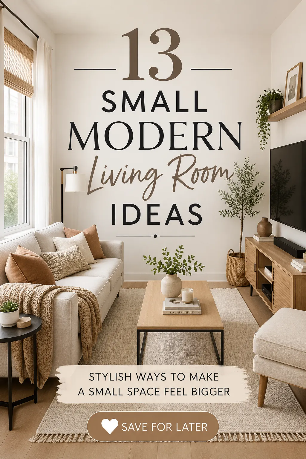 Small Modern Living Room Ideas